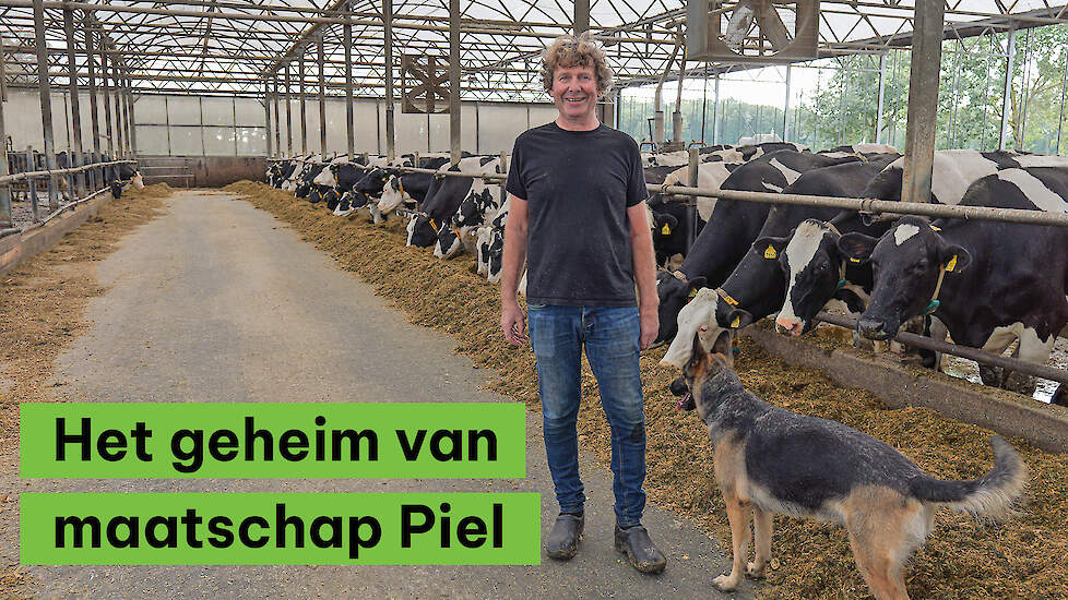 Het geheim van maatschap Piel in Hooghalen - #2