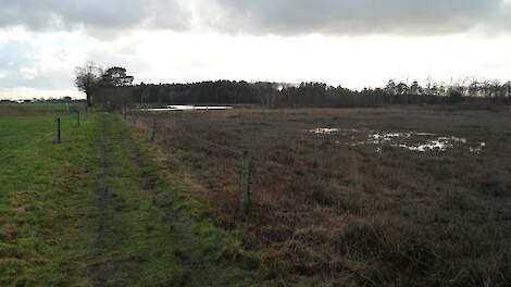 Agractie: natuur- en stikstofbeleid op drijfzand gebaseerd