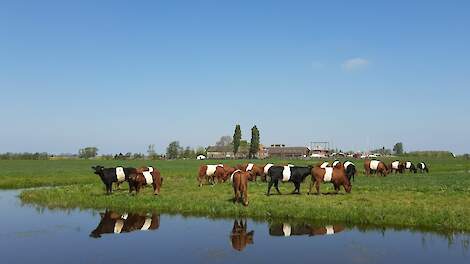 Besluit gemeente Teylingen kan ook einde betekenen voor omliggende bioboeren