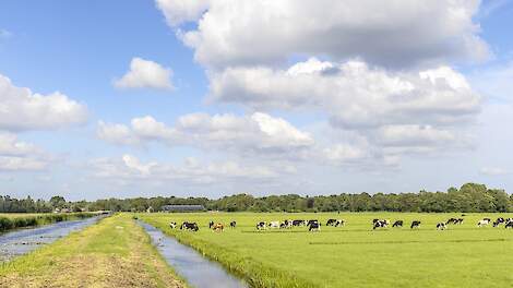 Melkveehouders en verduurzaming, wat is nodig?