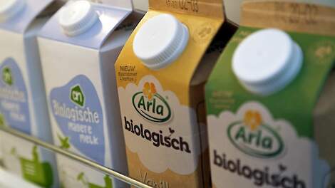 Goed jaar voor Arla: melkveehouders ontvangen 2,20 cent per kilo extra