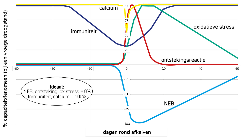 De verschillende elementen die een spelen in de koe rondom het afkalven (Lopreiato et al., 2020). De ideale situatie is dat de negatieve energiebalans (NEB), ontstekingsreactie en oxidatieve stress 0% is en dat immuniteit en calcium 100% is rondom het afk