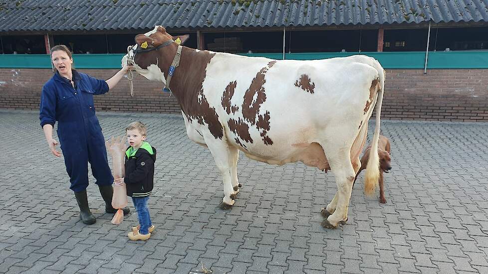 Toosje 724 van Mariëlle Lenferink in Almelo (OV).