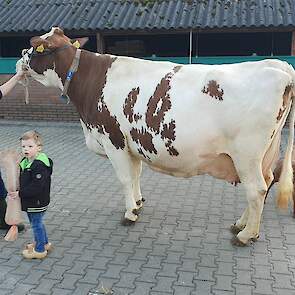 Toosje 724 van Mariëlle Lenferink in Almelo (OV).