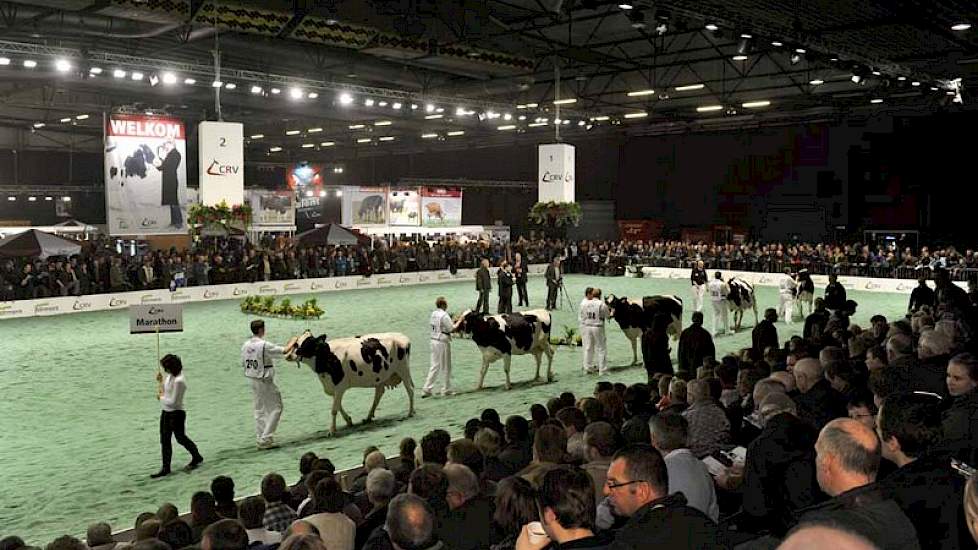 Onder grote belangstelling debuteerden de dochters van Barnkamper Marathon verdienstelijk.