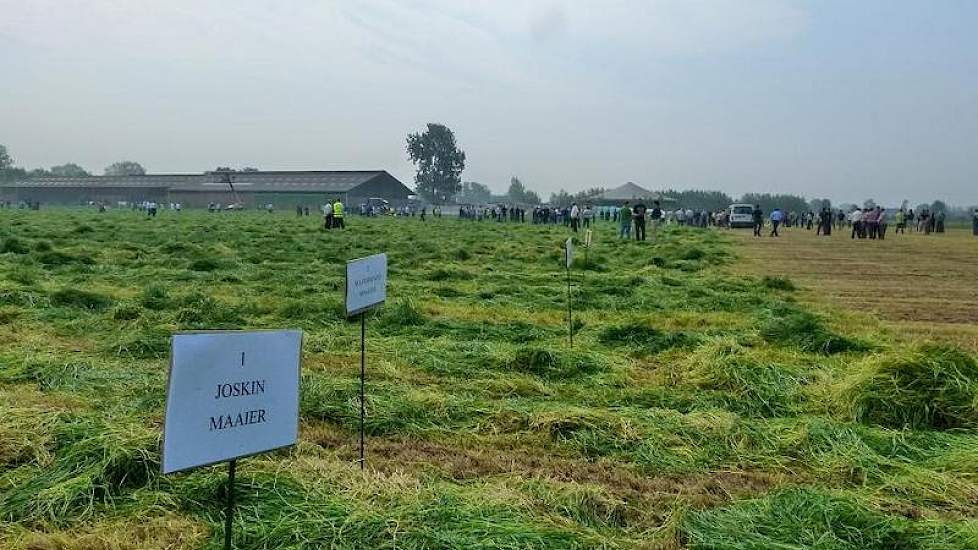 Van voor naar achter: 17 verschillende maaiers en het resultaat.