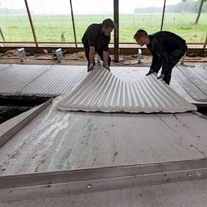 Gevuld is de matras amper meer te tillen. Door het karretje ‘om te kiepen’, glijdt het op de juiste plek. De koeien zorgen zelf, door er op te liggen en staan, dat de korrels en het water gemengd worden tot gel. Na een paar dagen is de substantie goed.