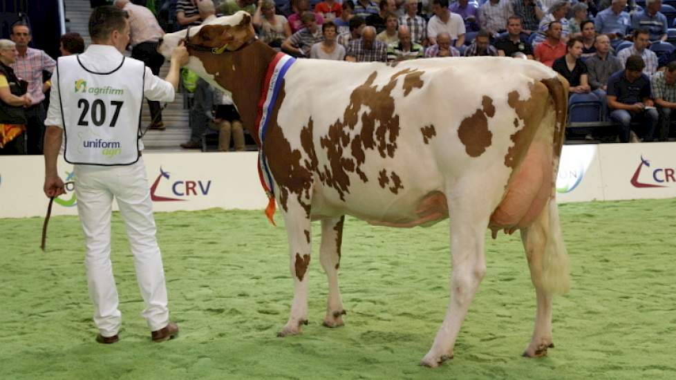 Barendonk Brasilera 12 (Classic x Taco) van Jan en Liesbeth Hermanussen uit Beers.