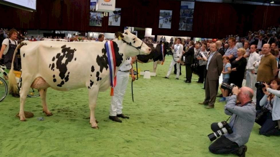 Hellen 589 wordt algemeen kampioene zwartbont van de NRM 2012.