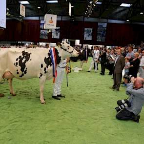 Hellen 589 wordt algemeen kampioene zwartbont van de NRM 2012.