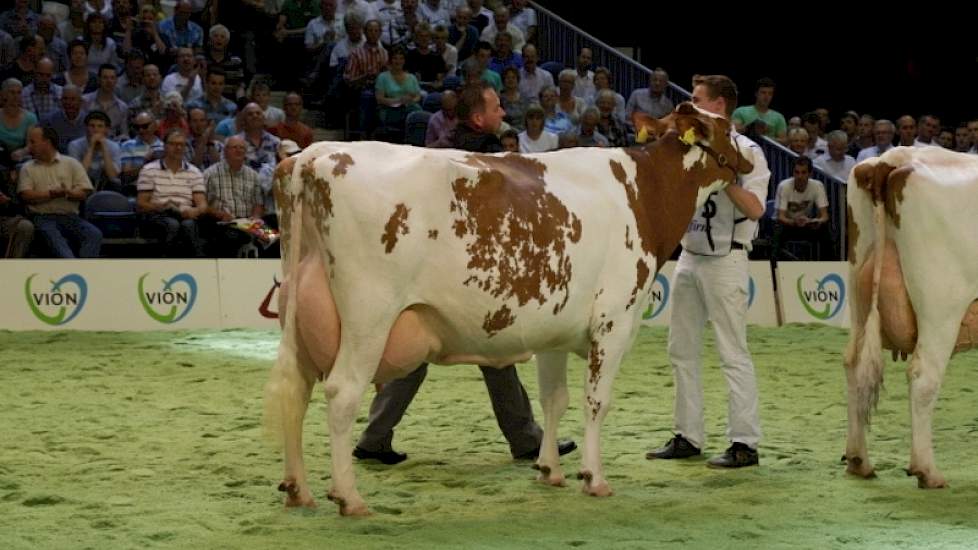 Barendonk Wilma 208 werd reservekampioene bij de roodbonte senioren.