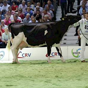 Mariegold wordt reservekampioen van de middenklasse.