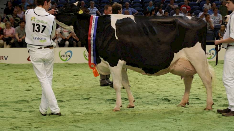 Jimm Holstein Hennie 302 werd reservekampioene bij de zwartbonte senioren.