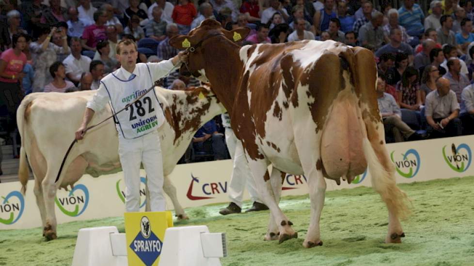 Titelhouder Marco Nieuwenhuis uit Klarenbeek is druk in de weer met zijn OV Nueva.