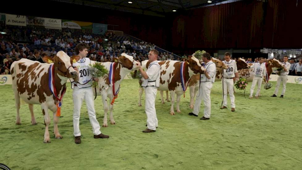 Aan het eind van de keuring maakten alle kampioenen nogmaals hun opwachting. Van links naar rechts Barendonk Brasilera 12, Ria 585, Brook Marie 61, Glinzer Gerie 129, OV Nueva en Barendonk Wilma 208.