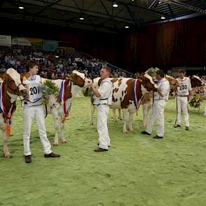 Aan het eind van de keuring maakten alle kampioenen nogmaals hun opwachting. Van links naar rechts Barendonk Brasilera 12, Ria 585, Brook Marie 61, Glinzer Gerie 129, OV Nueva en Barendonk Wilma 208.