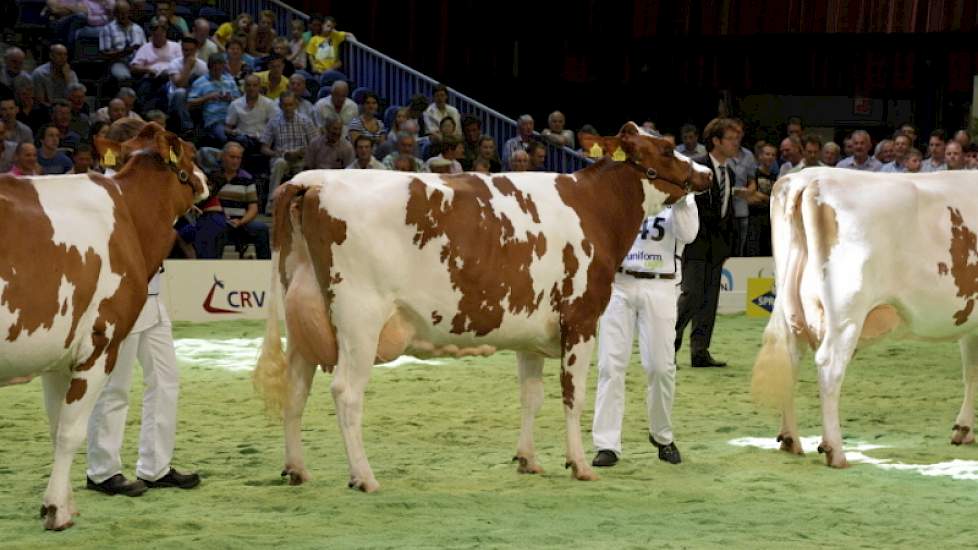 Kampioen bij de roodbonte middenklasse werd Brook Marie 61 (Classic x Taco) van Hans Puttenstein. Marie prolongeerde daarmee haar NRM-vaarzentitel van twee jaar geleden.