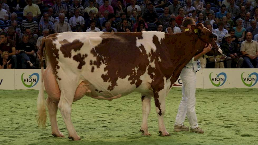 Nueva (Sputnic x Lightning) verdedigde haar titel met succes en werd andermaal uitgeroepen tot seniorenkampioene roodbont.