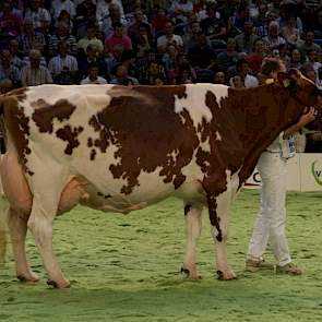 Nueva (Sputnic x Lightning) verdedigde haar titel met succes en werd andermaal uitgeroepen tot seniorenkampioene roodbont.