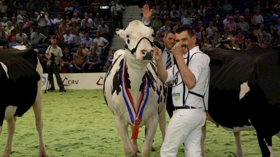 Ook bij zwartbont wordt de middenklassekampioene tot algemeen kampioene gekozen.