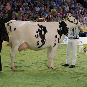 Ze moest het nipt afleggen tegen de eveneens uiterst correcte Jimm Holstein Hellen 589 (Shottle x Goldwyn) van John de Vries uit Boijl, die tot kampioene werd uitgeroepen.