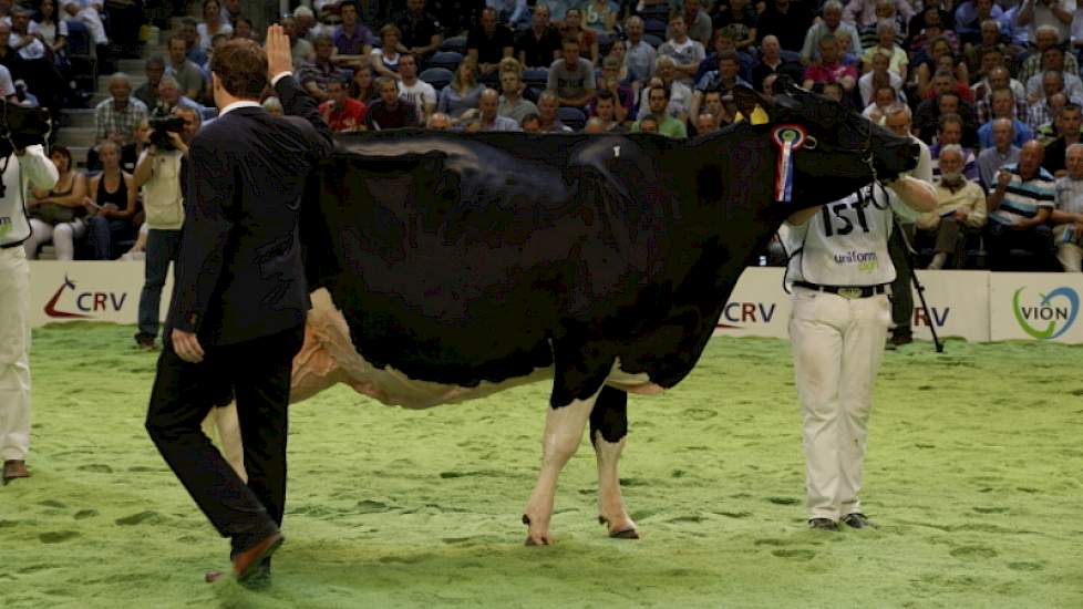 Het kampioenschap was er voor de op het landelijk podium nog relatief onbekende Tellingen Esmeralda 27 (Allen x Storm) van Roelof Krikken uit Echten.