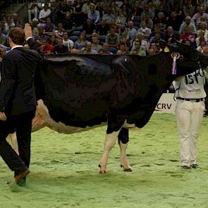 Het kampioenschap was er voor de op het landelijk podium nog relatief onbekende Tellingen Esmeralda 27 (Allen x Storm) van Roelof Krikken uit Echten.