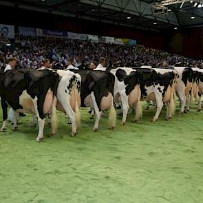 De rubriek met de oudste zwartbonten. Op kop (links) Tellingen Esmeralda 27 (v. Allen) van Krikken uit Echten (Dr.), vervolgens Bons-Holsteins Ella 139 (v. Boss Iron) van Bons uit Ottoland, Wilhelmina 401 (v. James) van Van Dijk uit Giessenburg, Bons-Hols