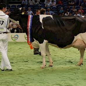 John de Vries' Goldwyn-dochter Jimm Holstein Hennie 302 werd reservekampioene bij de senioren.