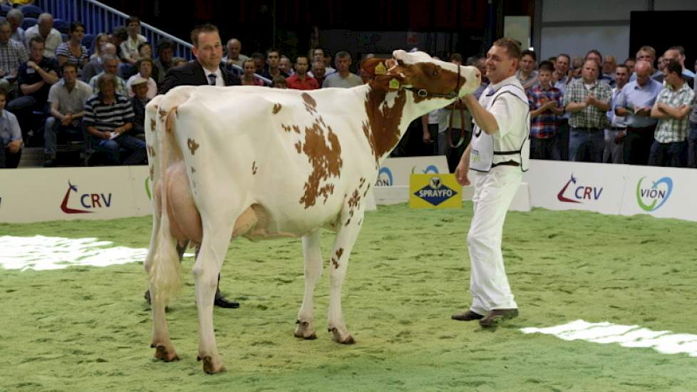 Ria 585, een dochter van Bons-Holsteins Mr Red Talent, van Hans Hammink uit Almelo won het reservekampioenschap bij de roodbonte vaarzen.