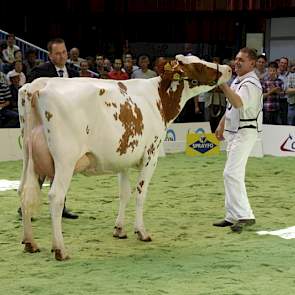 Ria 585, een dochter van Bons-Holsteins Mr Red Talent, van Hans Hammink uit Almelo won het reservekampioenschap bij de roodbonte vaarzen.