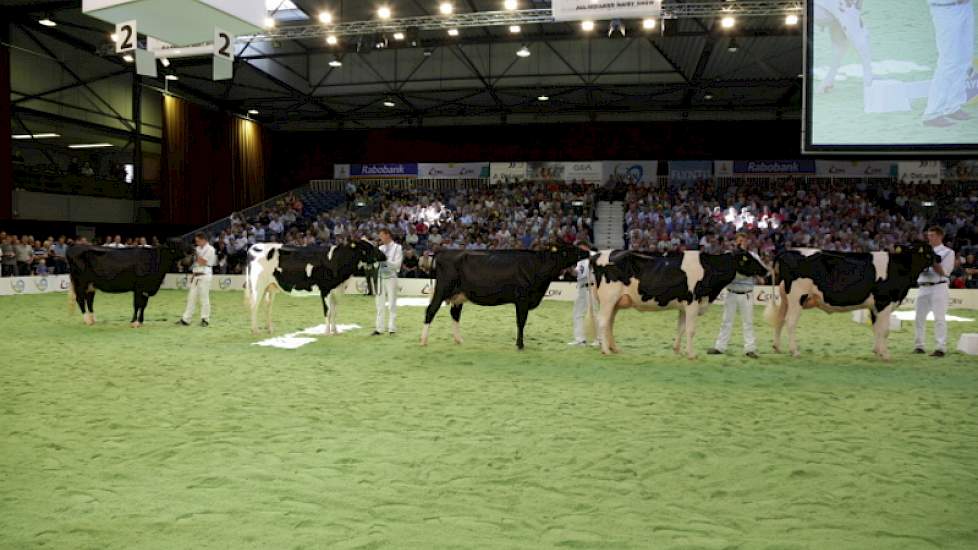 De line-up bij de zwartbonte vaarzen bestond uit Vink Blesje 149 (v. Laurin) van Vink uit Ottoland, Hbc Goldwyn Daydream (v. Goldwyn) van Wijnker uit Avenhorn, Hendrika 39 (v. Goldwyn) van Verwaijen uit Beilen, Watermolen Jayline 36 (v. Sanchez) van De Gr