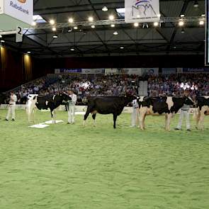 De line-up bij de zwartbonte vaarzen bestond uit Vink Blesje 149 (v. Laurin) van Vink uit Ottoland, Hbc Goldwyn Daydream (v. Goldwyn) van Wijnker uit Avenhorn, Hendrika 39 (v. Goldwyn) van Verwaijen uit Beilen, Watermolen Jayline 36 (v. Sanchez) van De Gr