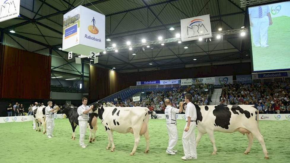 De groep van Aurora Ormsby (Shottle x O Man). Panelcijfer: 6,6.