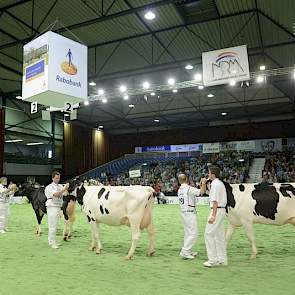 De groep van Aurora Ormsby (Shottle x O Man). Panelcijfer: 6,6.