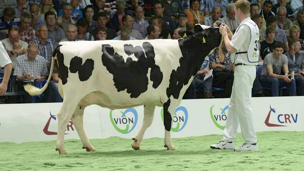 Dochter Pilot (moedersvader onbekend).