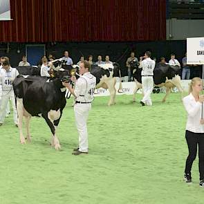 De grote dochters van Danillo (Goldwyn x O Man). Panelcijfer: 7,9.