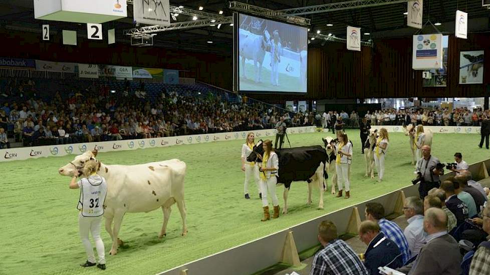 De dochtergroep van Ponsstar Sunflower (O Man x Lightning) had een volledig vrouwelijke begeleiding. Panelcijfer: 7,1.