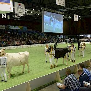 De dochtergroep van Ponsstar Sunflower (O Man x Lightning) had een volledig vrouwelijke begeleiding. Panelcijfer: 7,1.