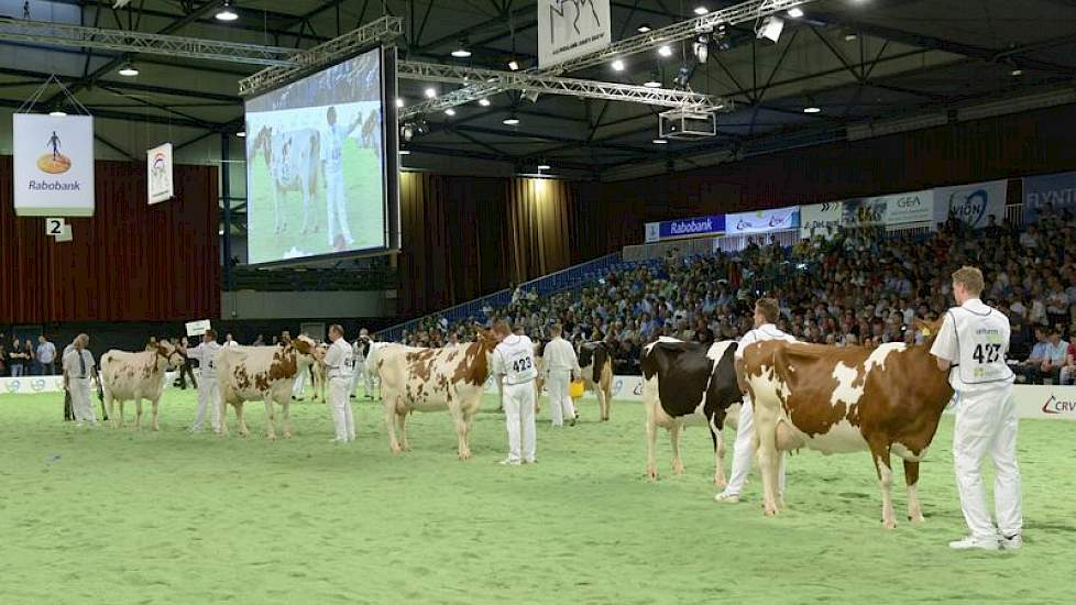 De groep van Lowlands Klimmer (Taco x Pablo). Panelcijfer: 5,9.