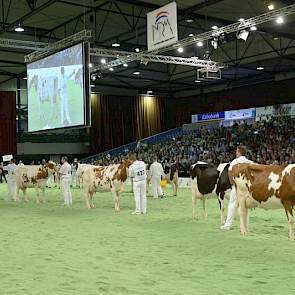 De groep van Lowlands Klimmer (Taco x Pablo). Panelcijfer: 5,9.