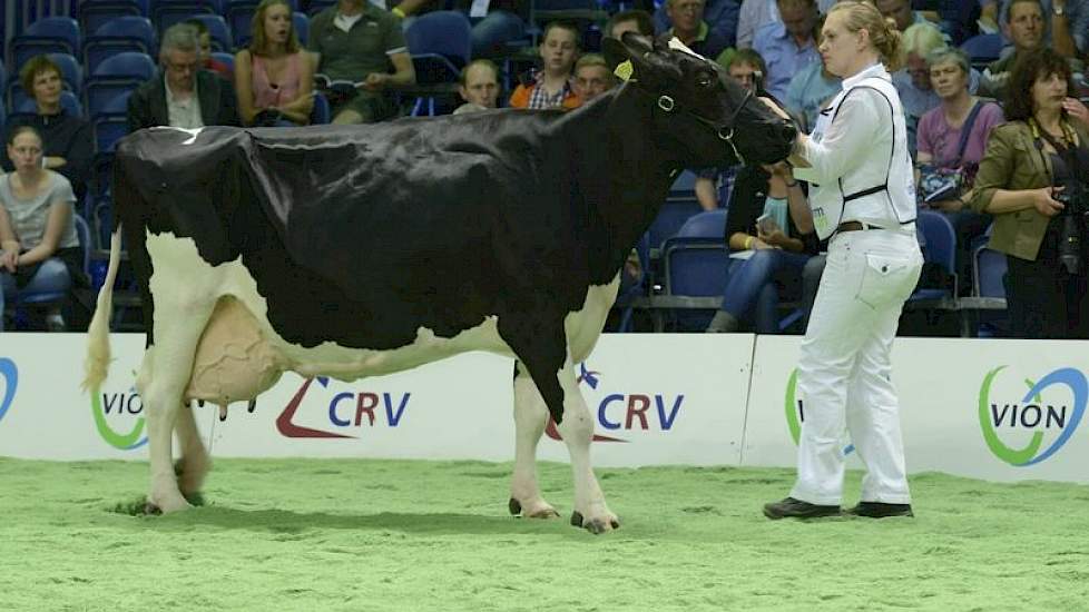 Ook Haarhoeve Sientje 93 (Rudolph x Ideal) van de familie Verhoef uit Wieringerwaard produceerde al bijna 120.000 kg melk.