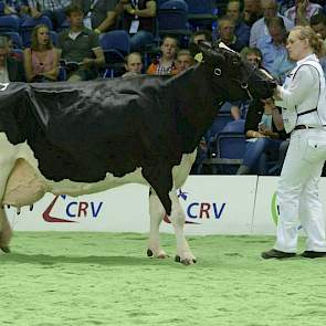 Ook Haarhoeve Sientje 93 (Rudolph x Ideal) van de familie Verhoef uit Wieringerwaard produceerde al bijna 120.000 kg melk.