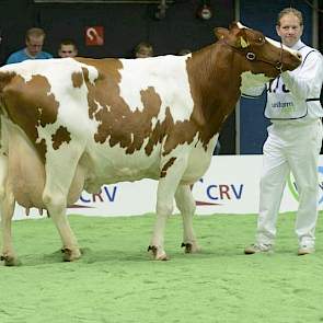 Leentje 595 (Stadel x Red Mitchel) van de familie Smit uit Markelo.