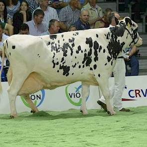 Klumper Nellie 5 (Stardom x Leadership) van Gert-Jan van der Haar uit Den Velde.