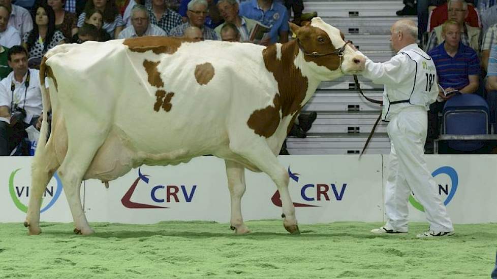 Soetten Botter Allmacht 8 (Stadel x Tulip) van Gerrit-Jan Klein Teselink uit Harfsen werd op de NRM van 2008 uitgeroepen tot algemeen kampioen roodbont.