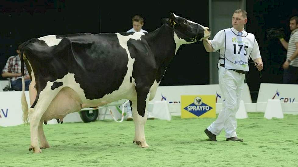 Big Boukje 212 (Lord Lily x Delta's Aaldert) is één van de vele honderdtonners van Jos en Ingrid Knoef uit Geesteren (Ov.).