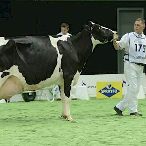 Big Boukje 212 (Lord Lily x Delta's Aaldert) is één van de vele honderdtonners van Jos en Ingrid Knoef uit Geesteren (Ov.).