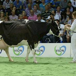 De 12-jarige Big Josie 34 (Big Arno x F16) van andermaal de familie Knoef, produceerde al 120.000 kg melk.