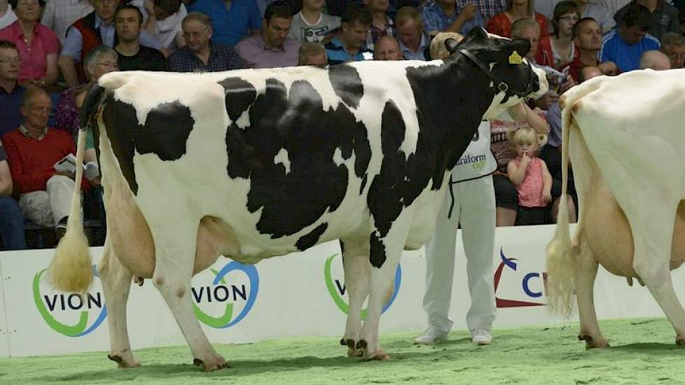 Mina 96 (Lucky Betsie Boy x Jabot) van Goof van Zandwijk uit Vuren.